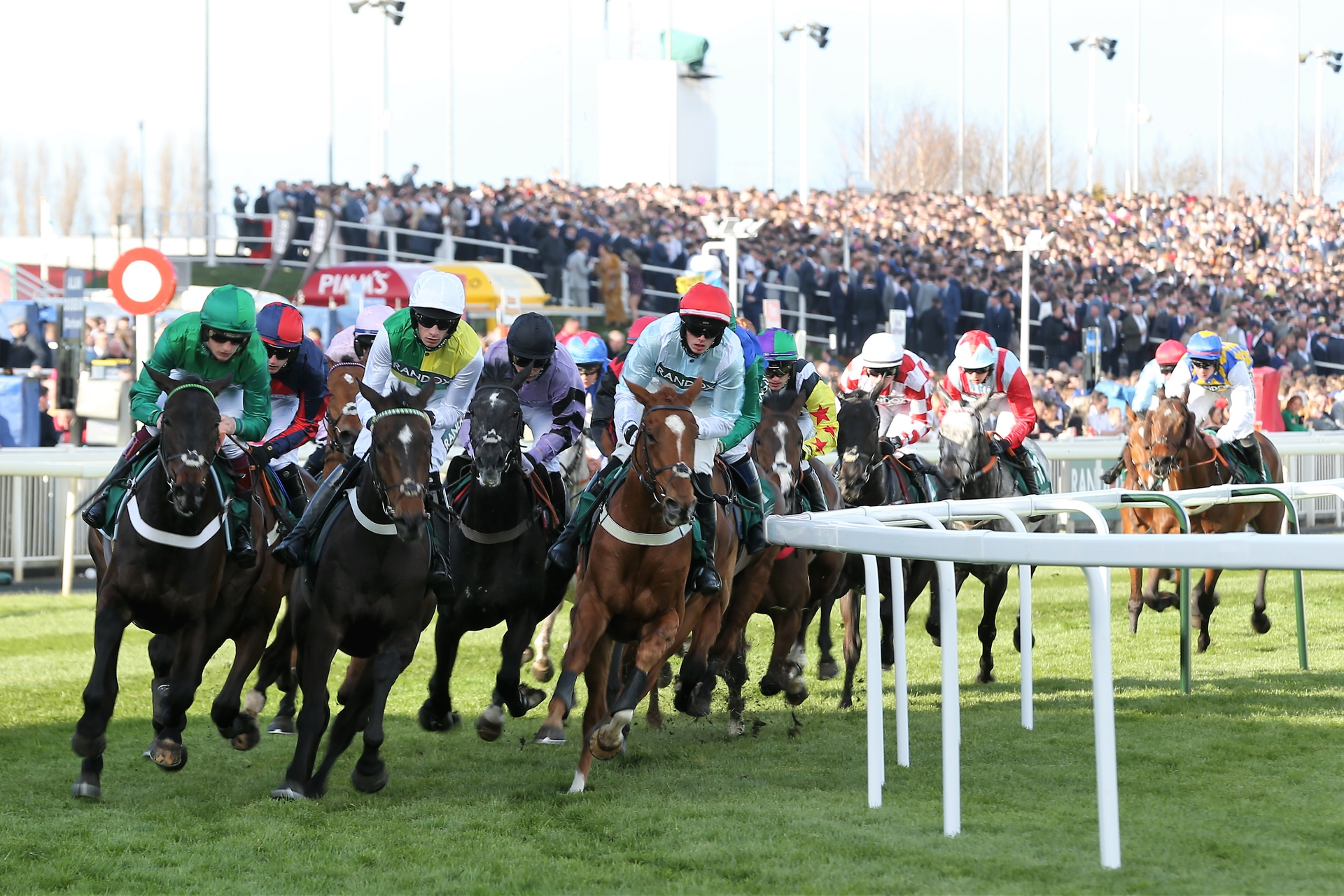 Find My Hospitality: Cheltenham Festival Races, Client Entertainment, Staff Team-Building