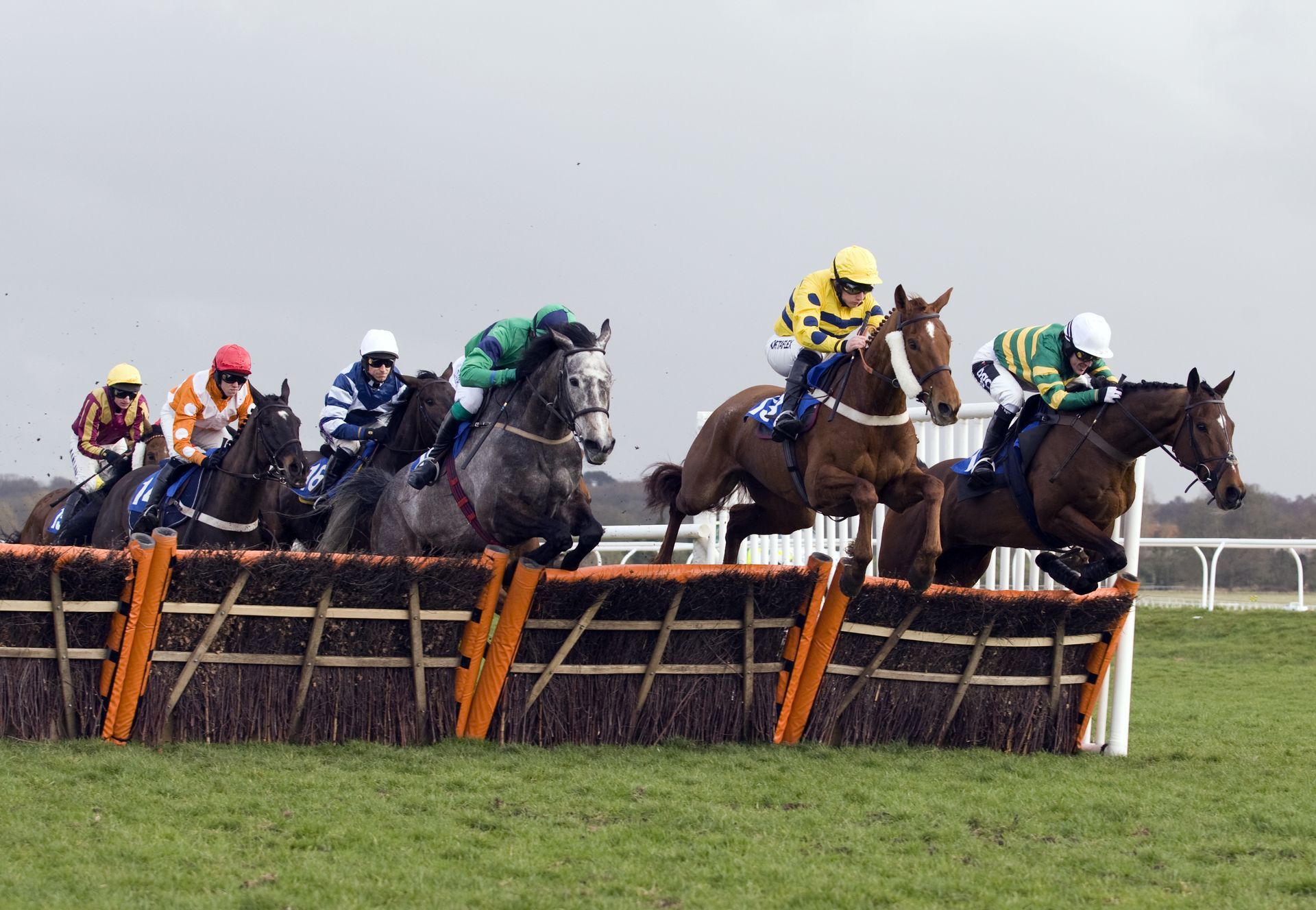 Newbury Horse Races