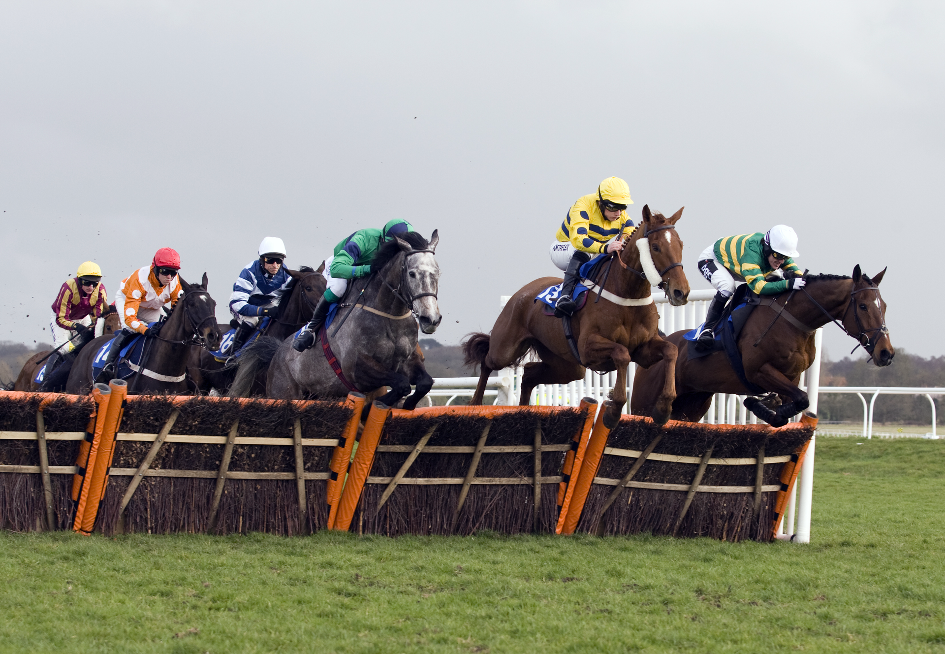 Newbury races