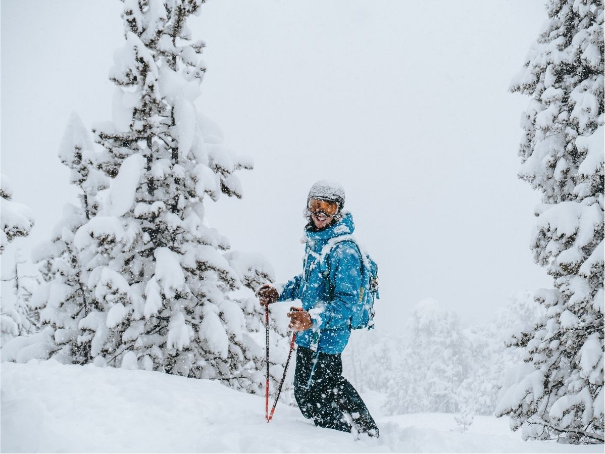 https://www.absolutelysnow.com/testcontactform