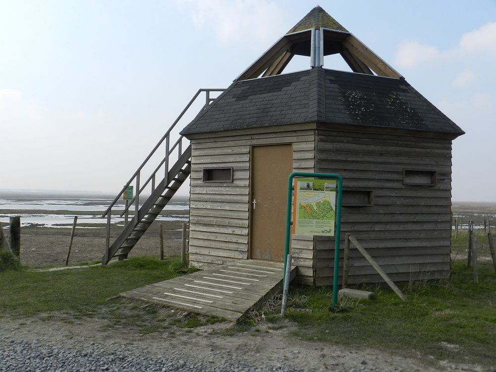 vogelkijkhut Verdronken Land van Saeftinghe