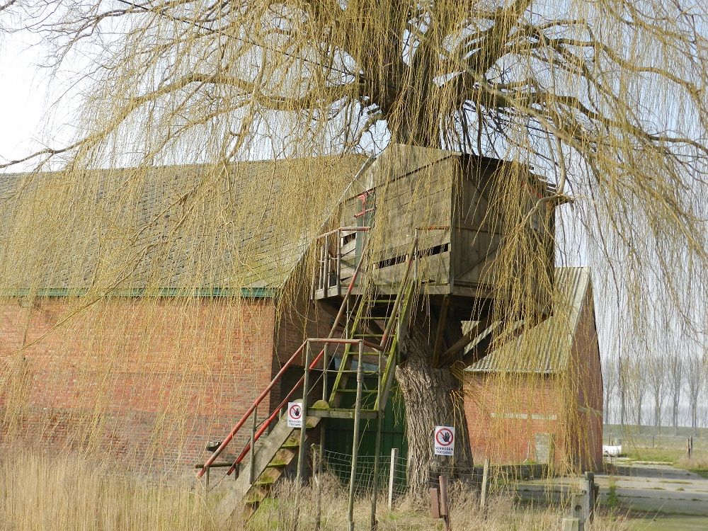 Boomhut - boer Hubert