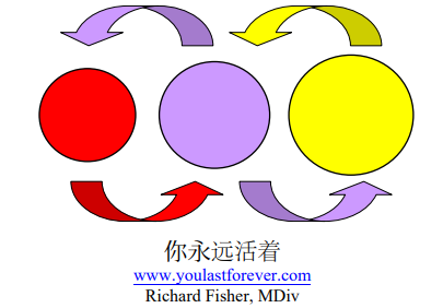 Diagram of a cycle: red, purple, and yellow circles with arrows.