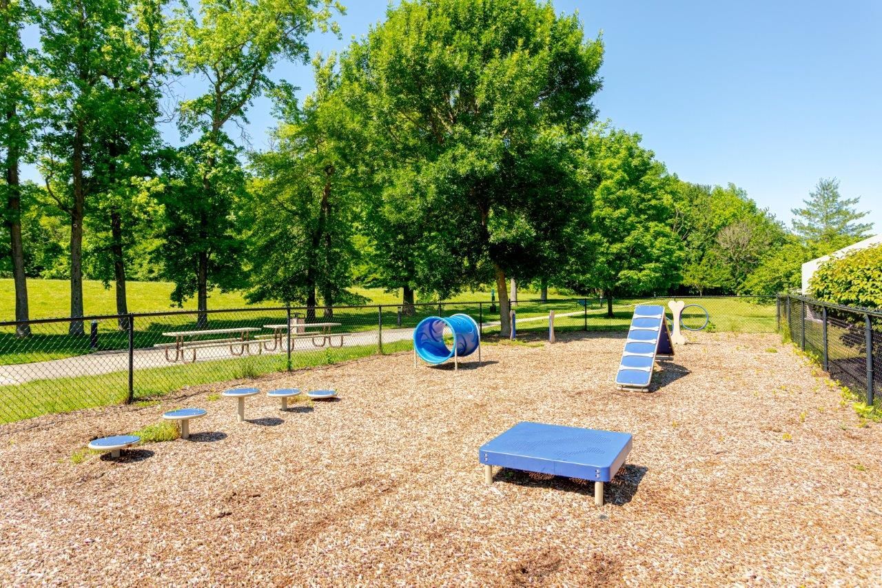 Fenced dog park
