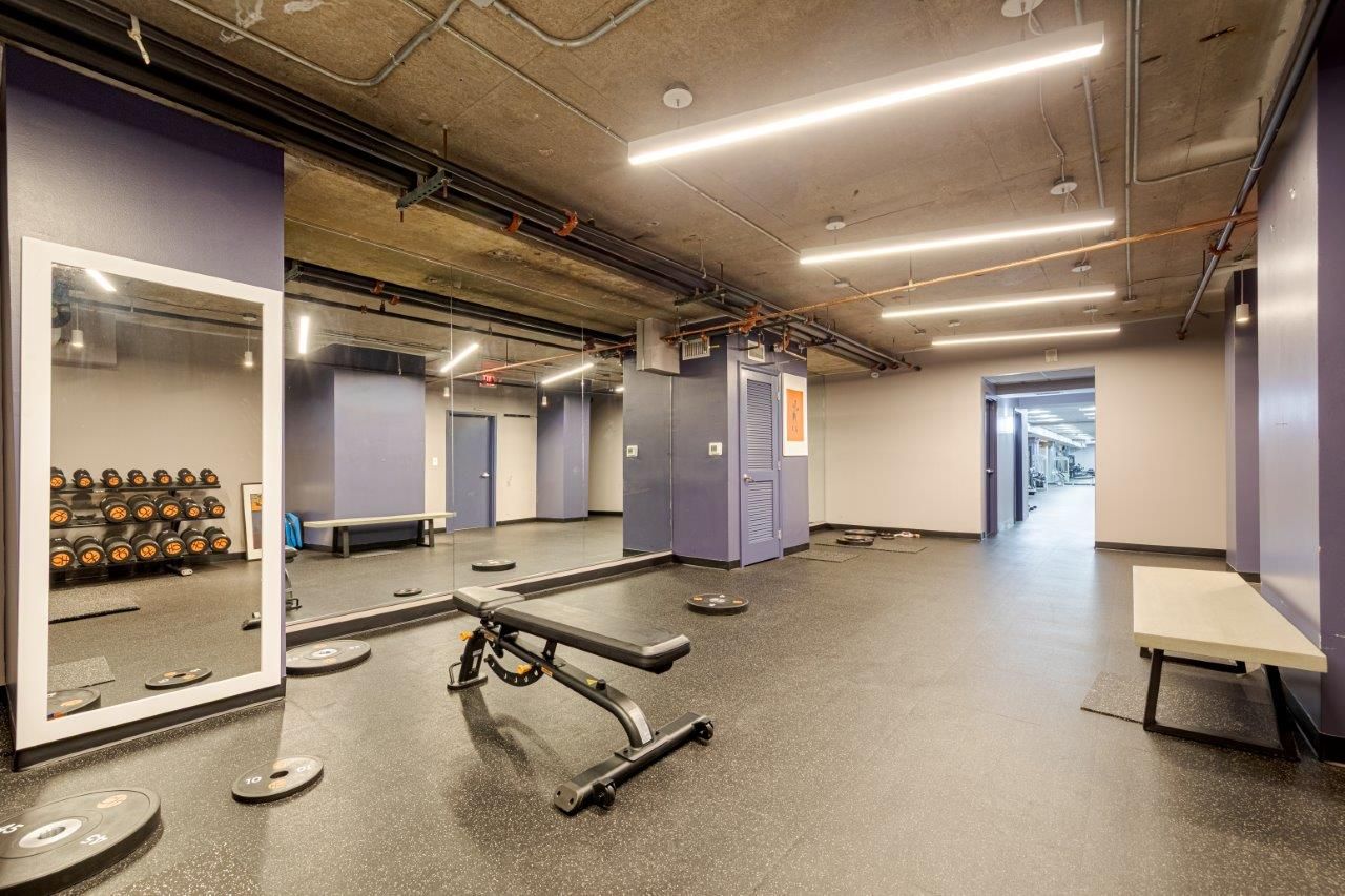 Empty modern gym with bench, dumbbells, mirrors, and gray flooring in a bright indoor space