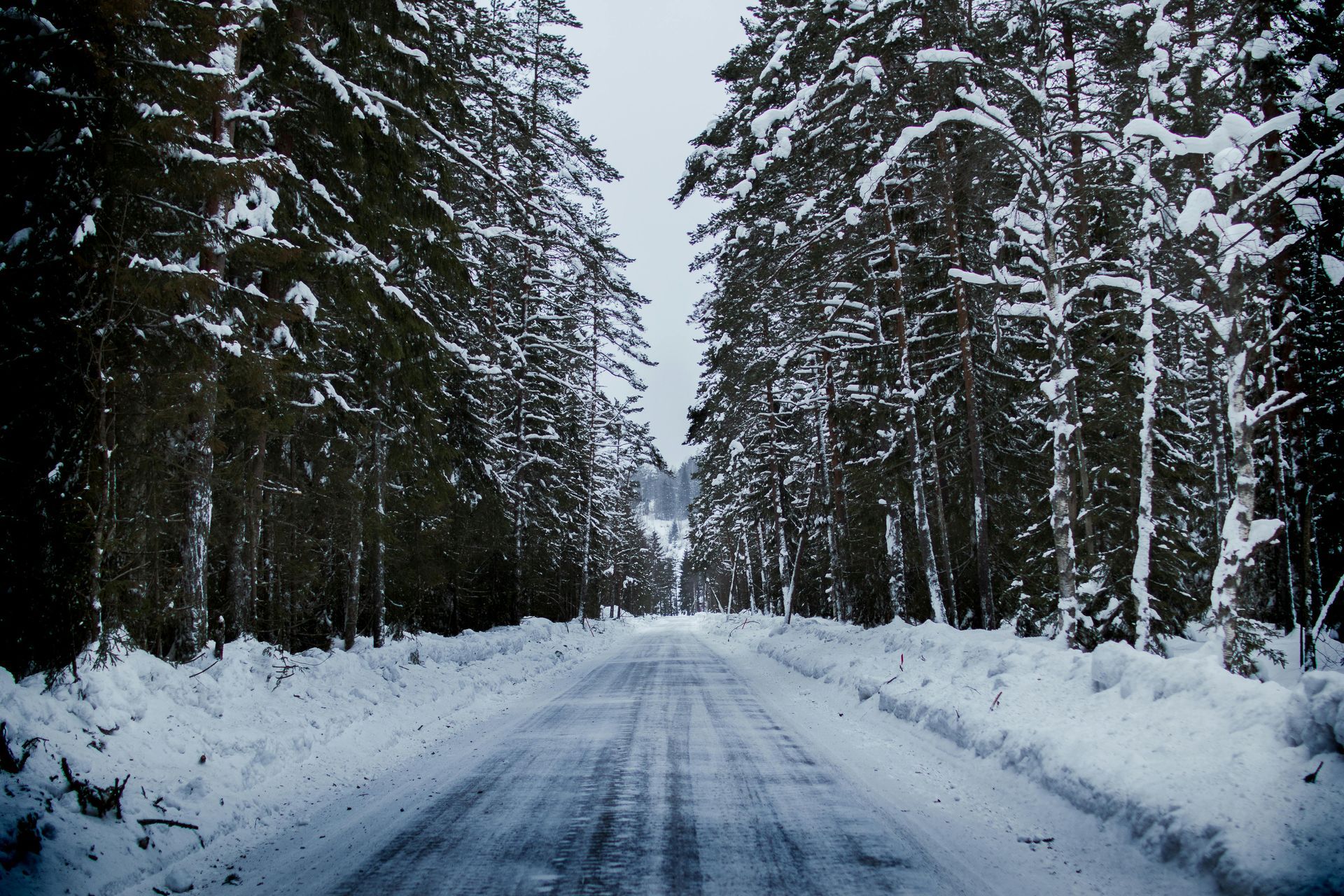 Snowbound Treasures