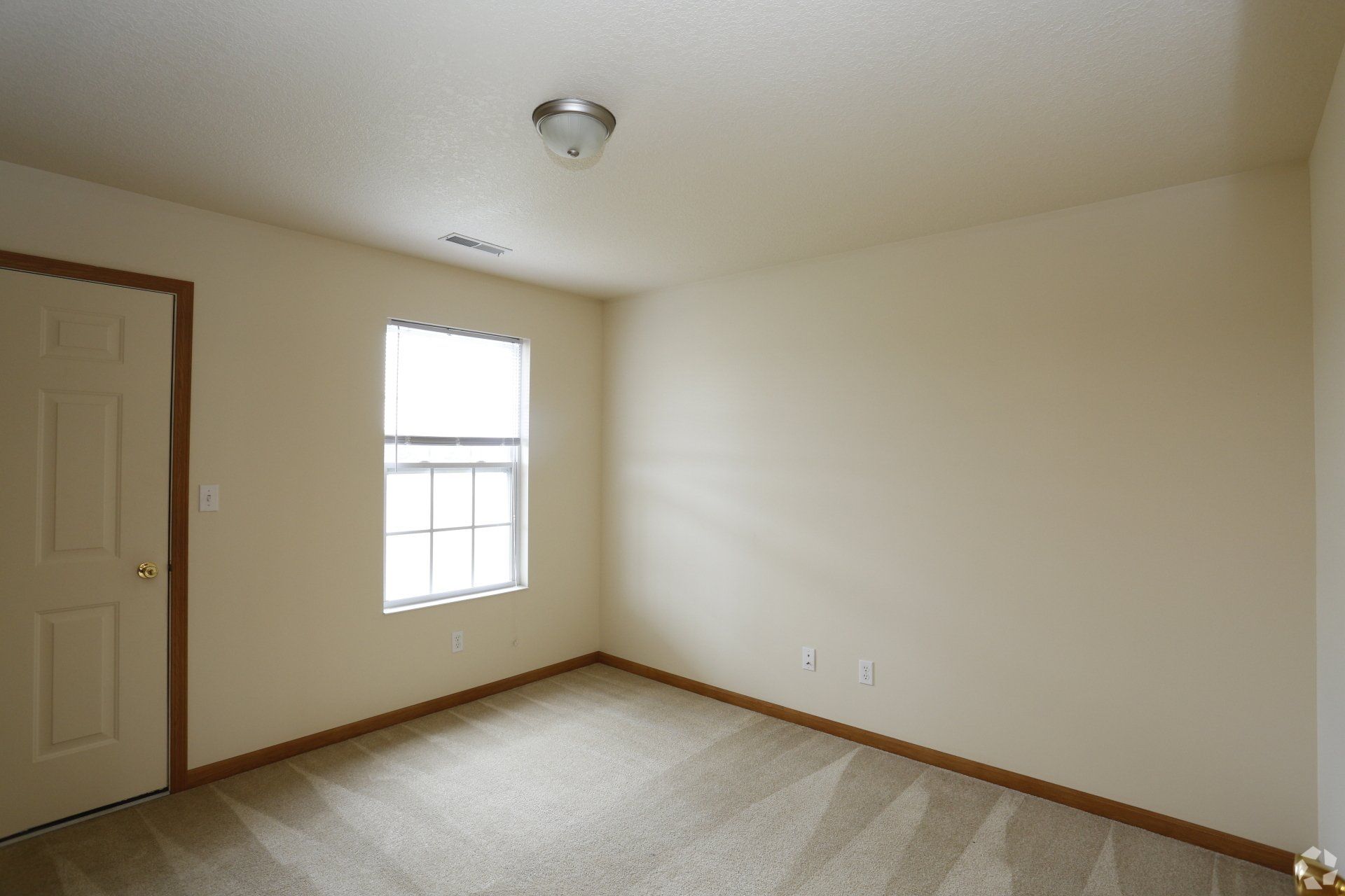 BriarWood interior