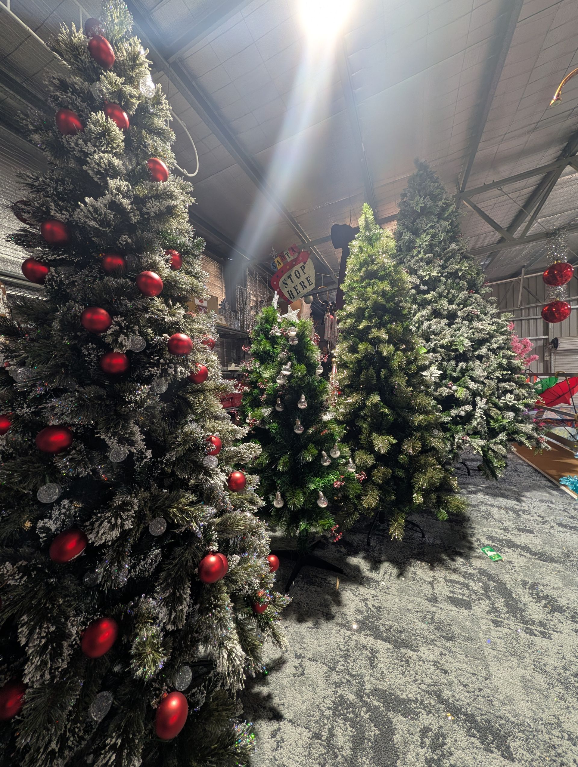 Decorated Christmas Trees with Red Ornaments — Jingle Bell Christmas In Casino, NSW