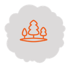 Trees Icon | Muswellbrook, NSW | Lake Liddell Recreation Area