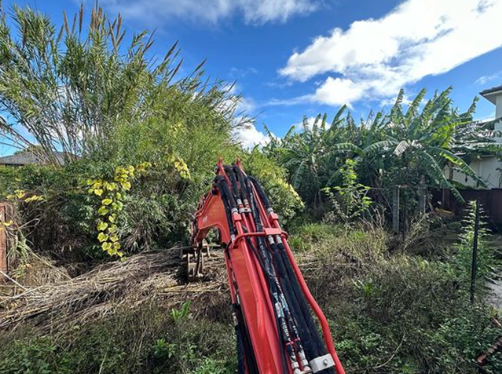 A red crane is sitting in the middle of a lush green field.