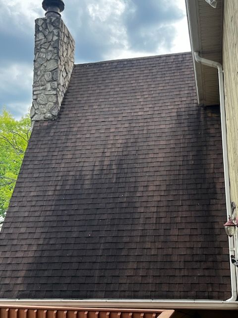 House Roof Before - Johnson City, TN - Bin Doctor Plus