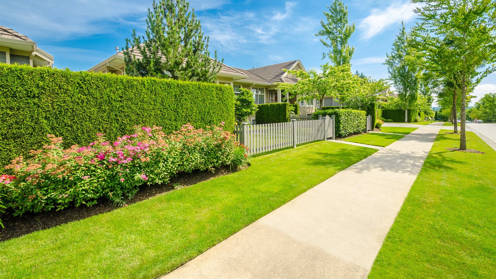 Residential Lawn