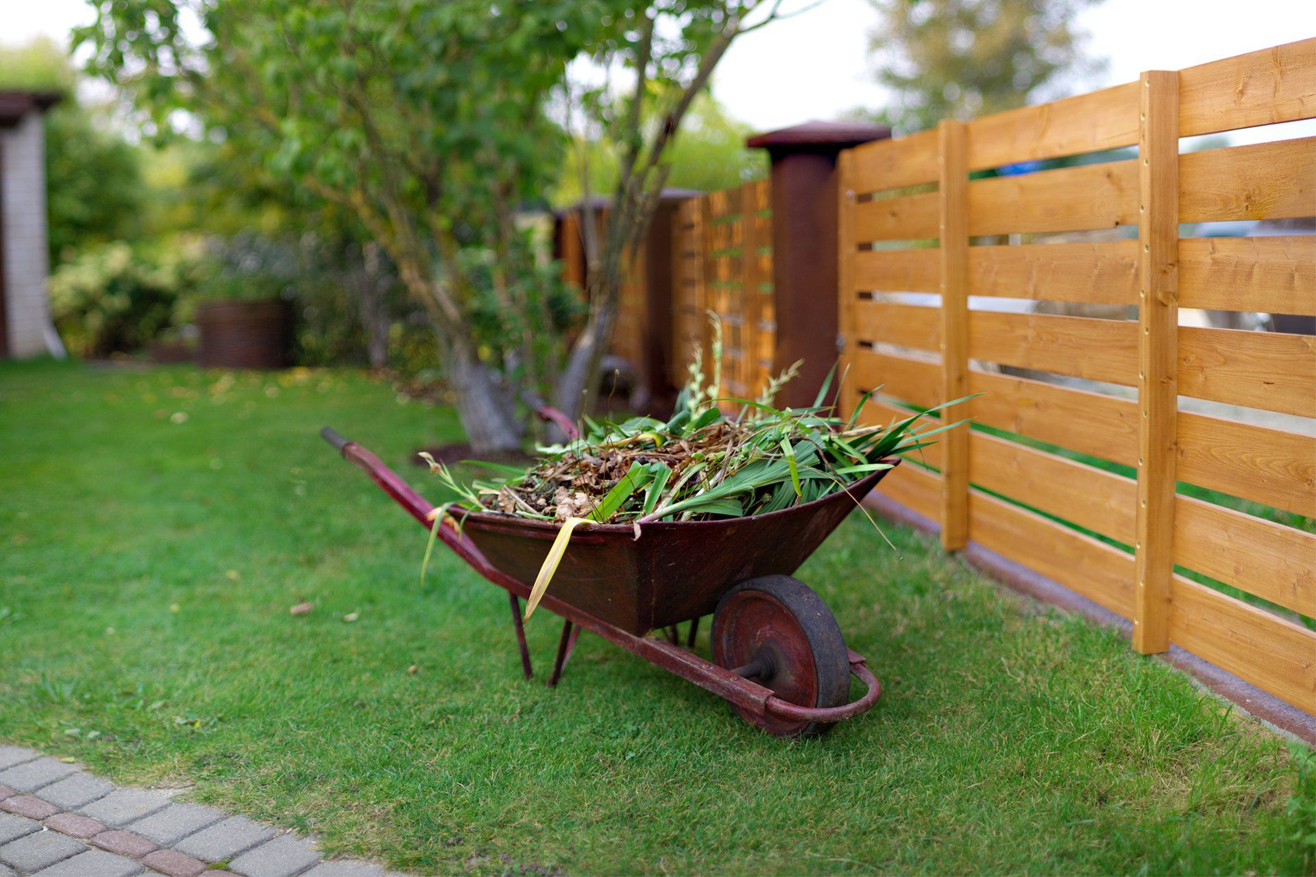 Yard Clearing