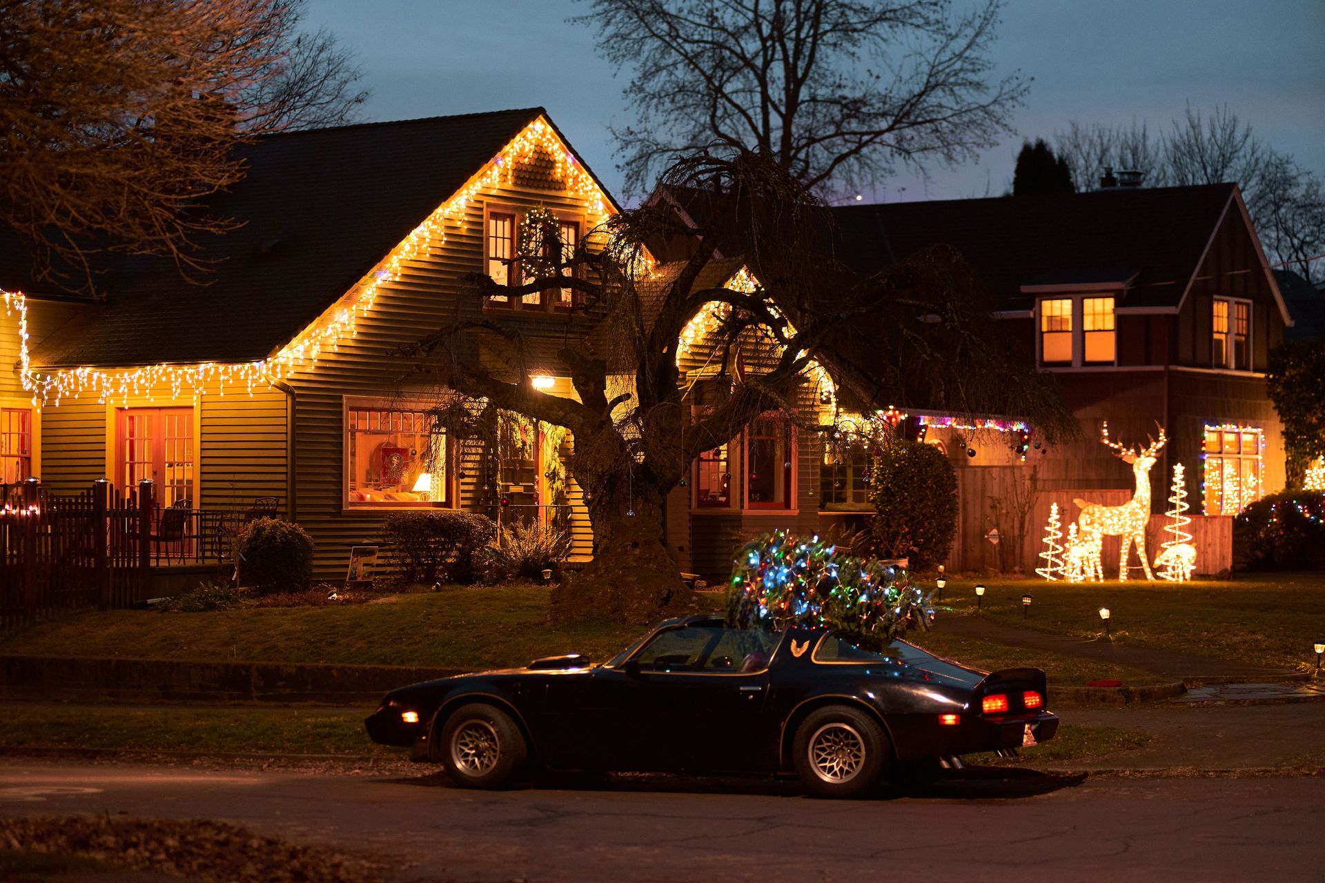 House lit with Christmas lights at night, with a dark car parked in front