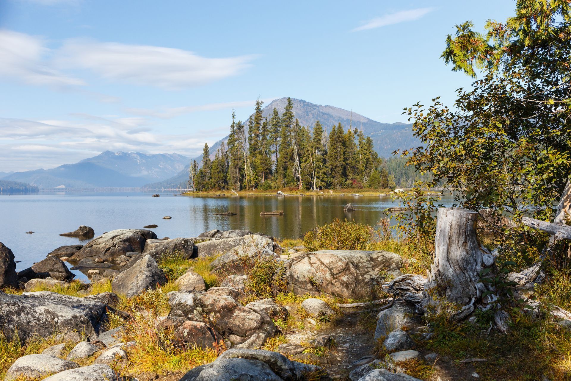 Rocky lakeshore with pine trees, calm water, and distant mountains under a clear blue sky.