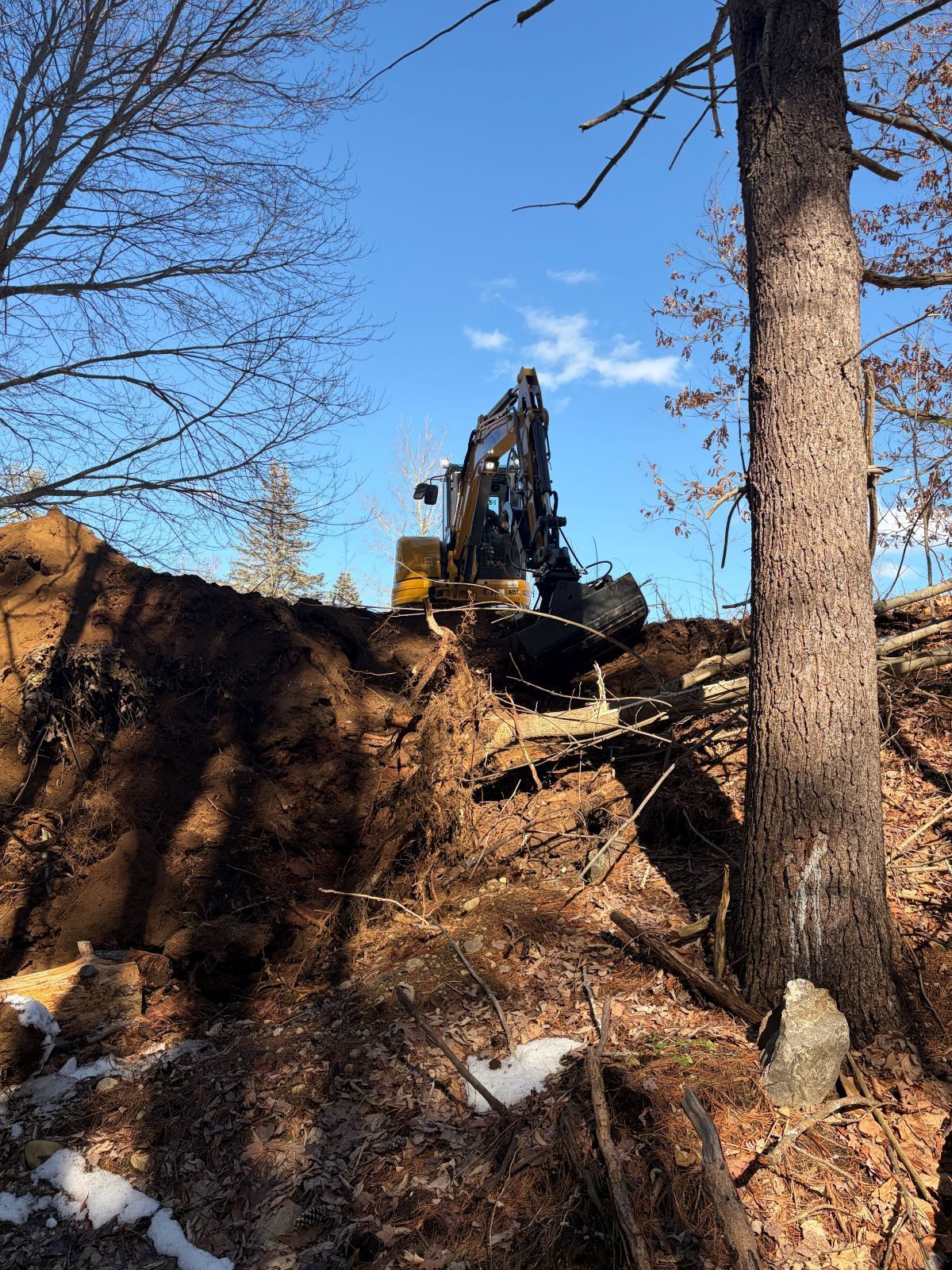 A yellow excavator digs into a dirt embankment in a wooded area under a clear blue sky.