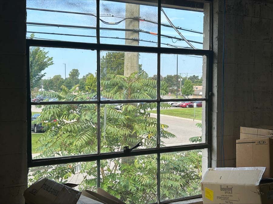 A multi-pane window overlooks a sunny outdoor scene with green trees, power lines, and a parking lot with cars.