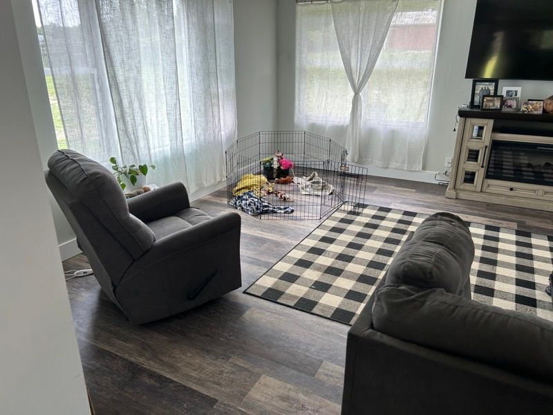 A living room with a grey recliner, a buffalo plaid rug, and a metal pet playpen near windows with white curtains.