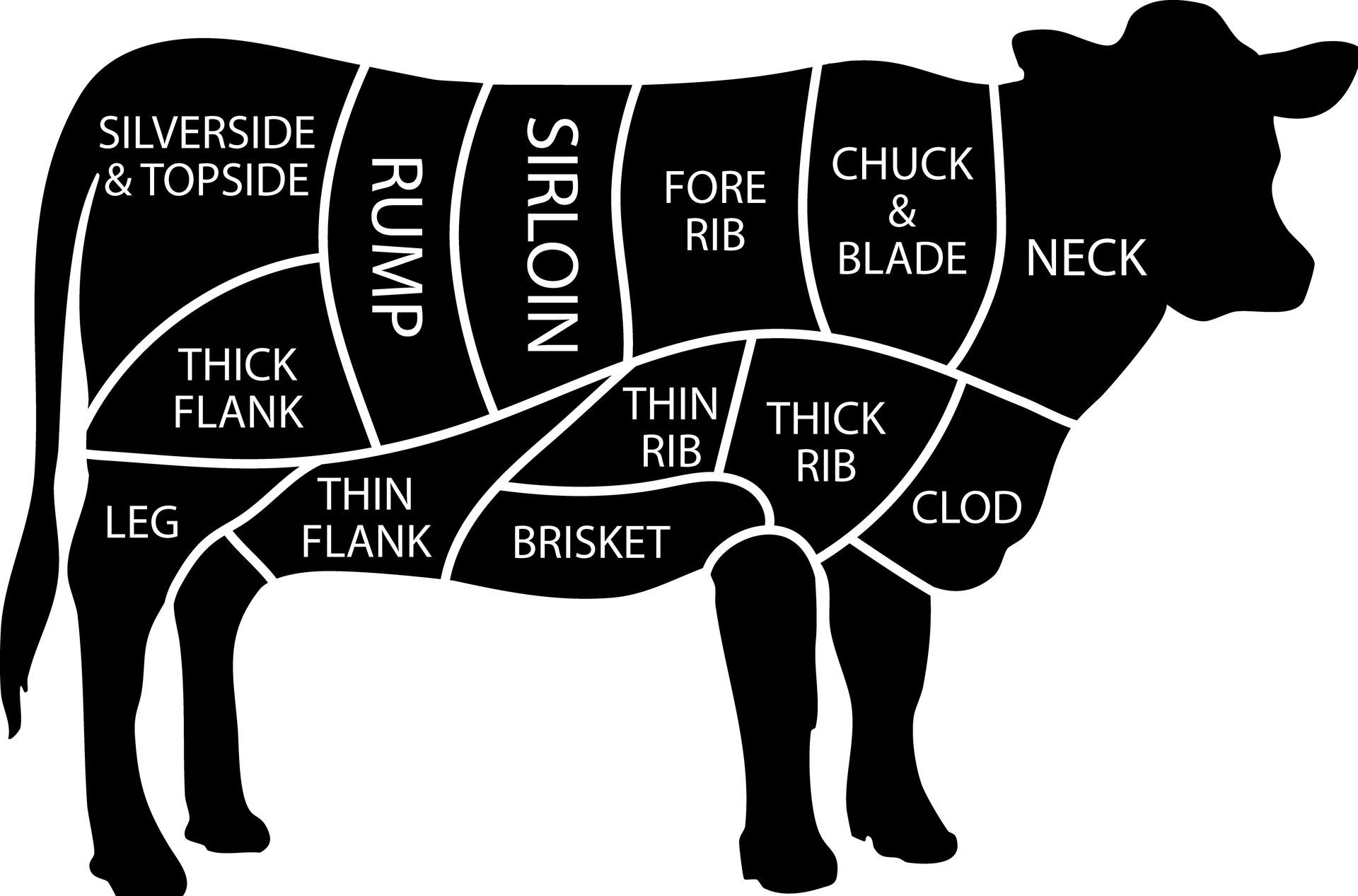 A diagram of a cow showing the different cuts of beef