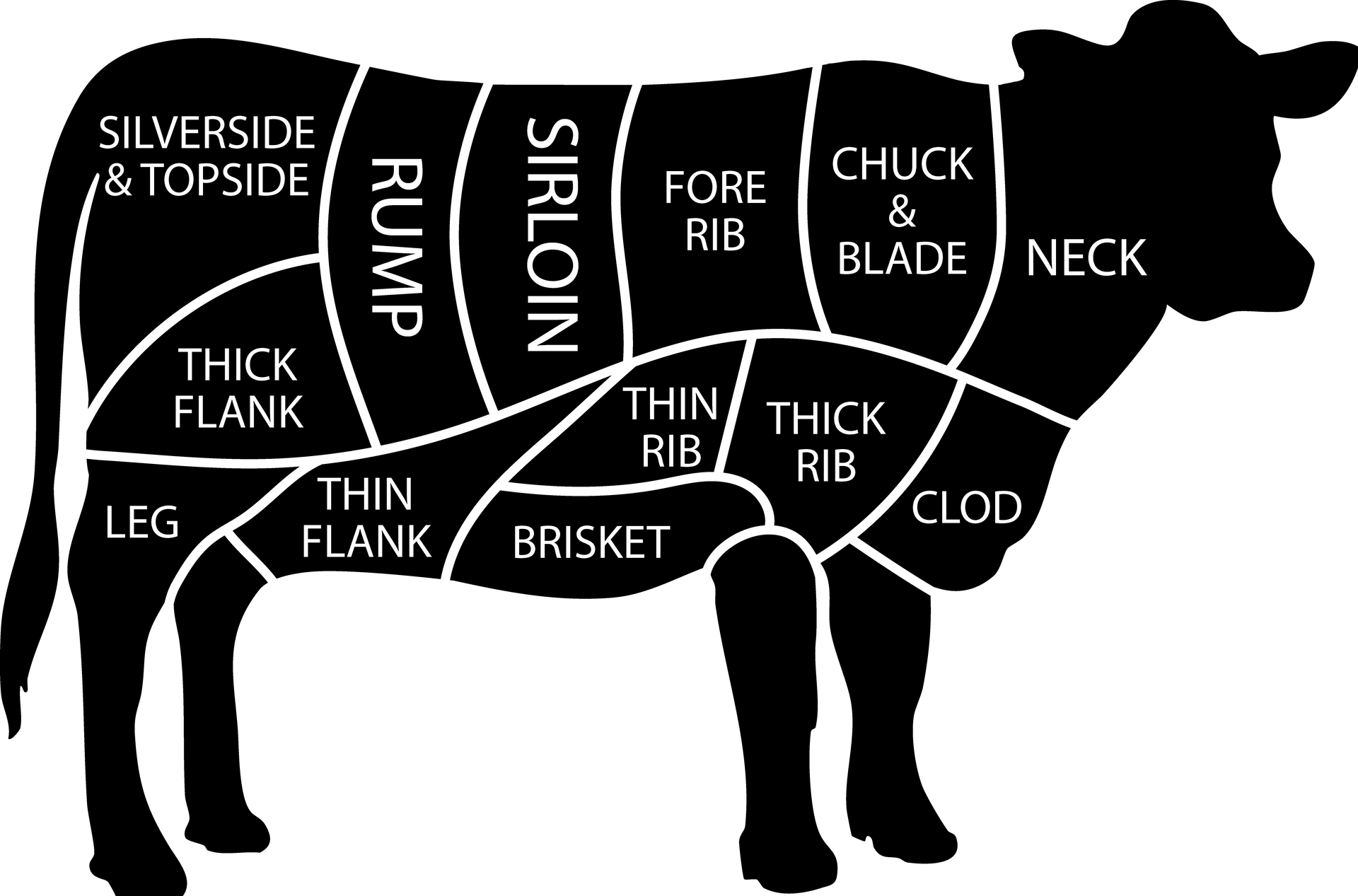 A diagram of a cow showing the different cuts of beef