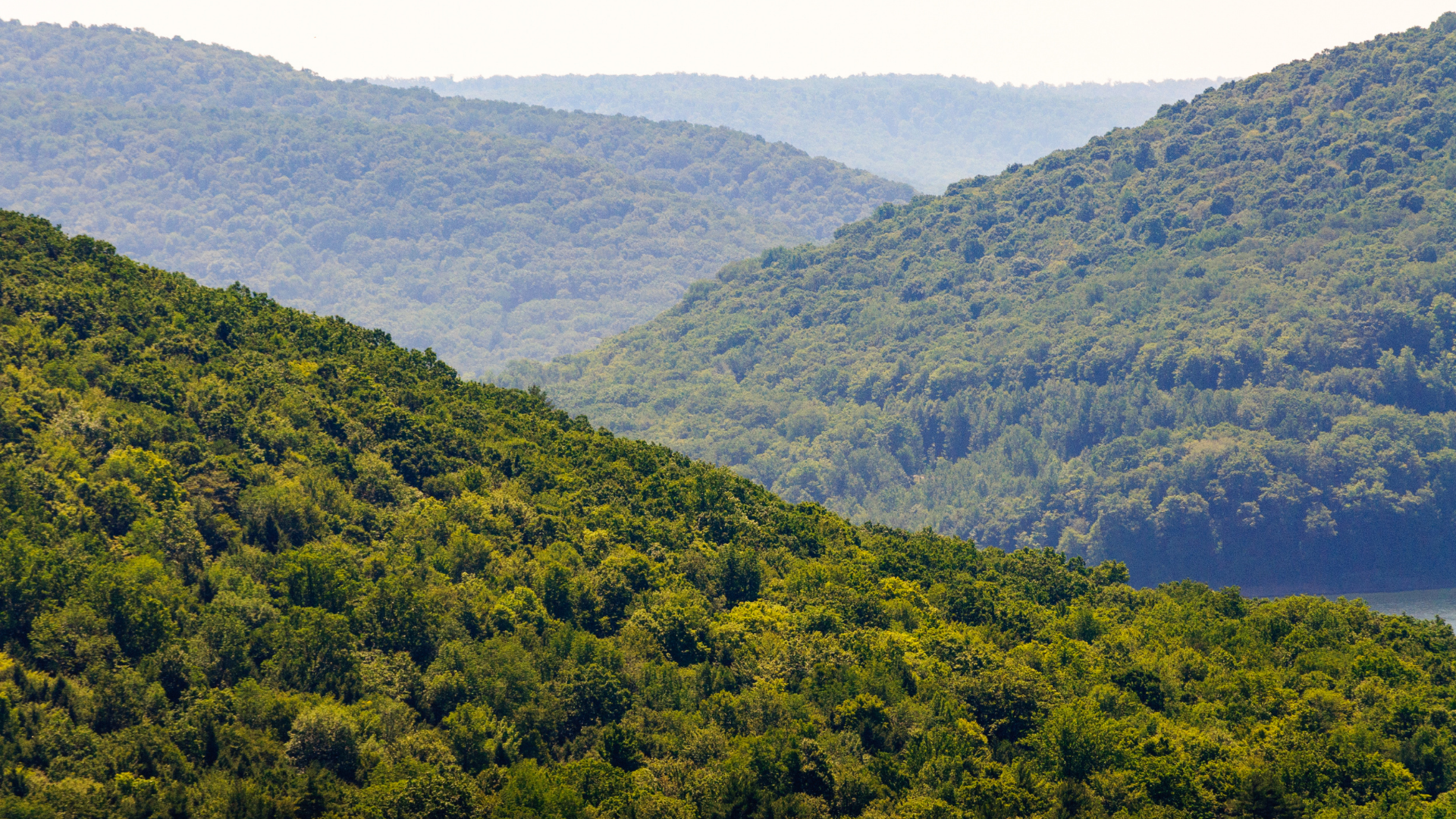 Forested mountains in the Allegheny Mountain Range show shades of green, with a distant hazy mountain range.