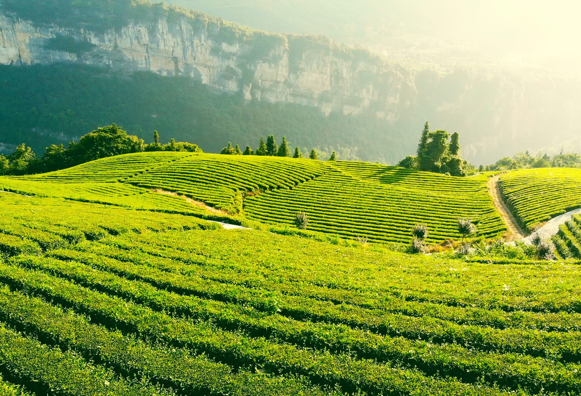 Valley with curving hills