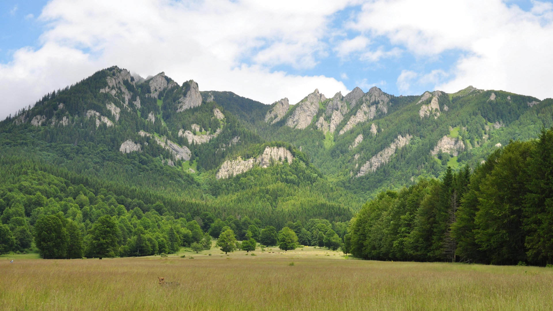 Green rocky mountains that are steep in The Ozark Mountains.