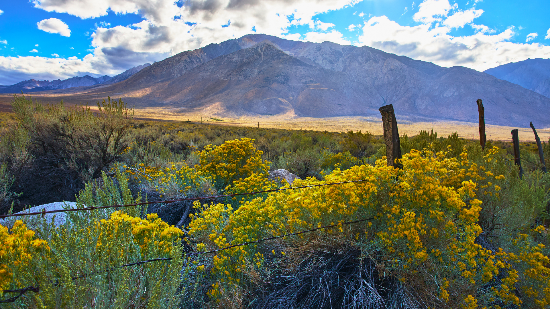 Flat prairie land in front of the steep Sierra Nevada Mountains.