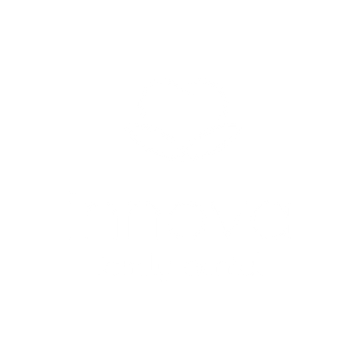 A white background with a few lines on it
