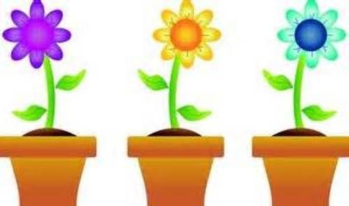 Three potted flowers: purple, yellow, and blue, each with green stems and leaves, orange pots.