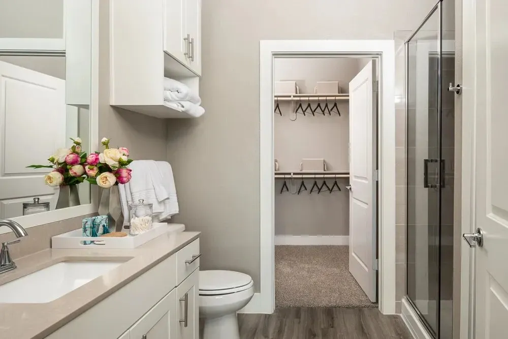 Modern bathroom with a vanity, mirror, and walk-in closet