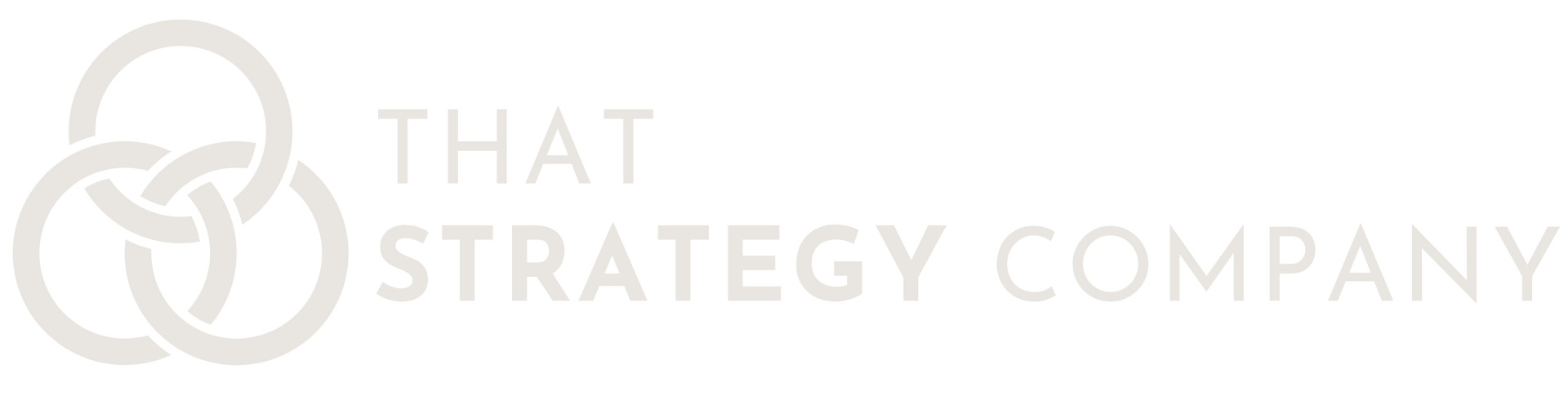 That Strategy Company That Strategy Company