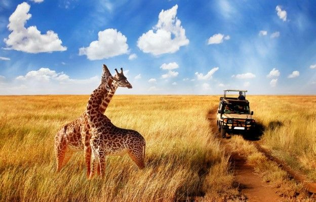 Custom Travel Tours