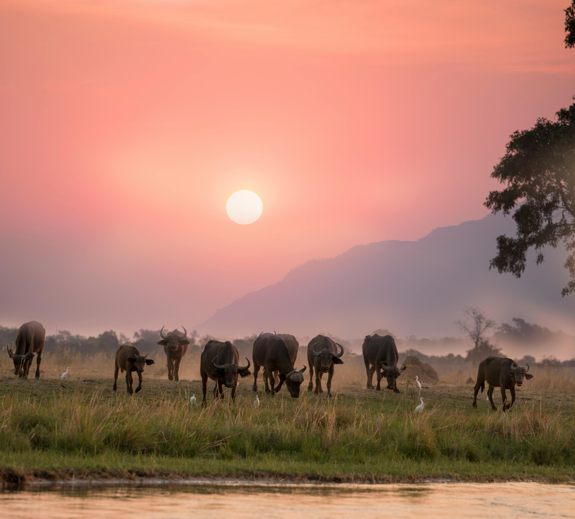Beach Holidays Tanzania