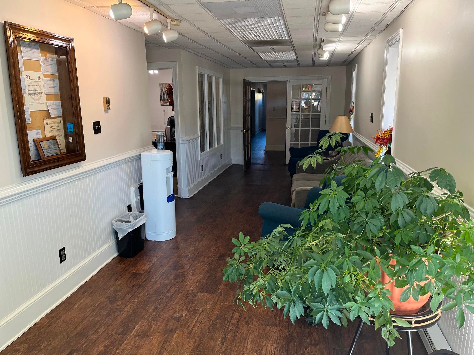 A hallway with dark wood floors, white paneled walls, a bulletin board, a water cooler, and a large plant in the foreground.