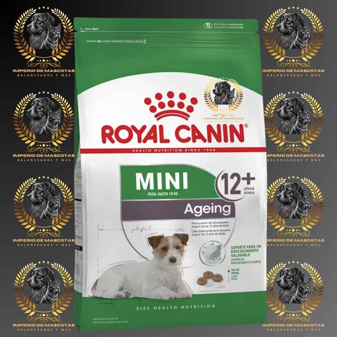 Bolsa de comida para perros Royal Canin Mini Ageing con un Jack Russell Terrier, rodeado de medallas.