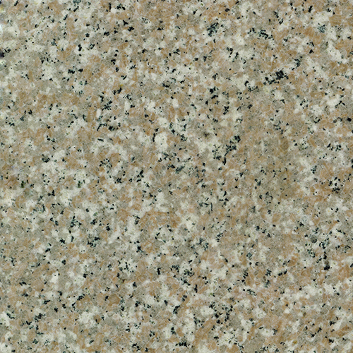 Pacific Coral