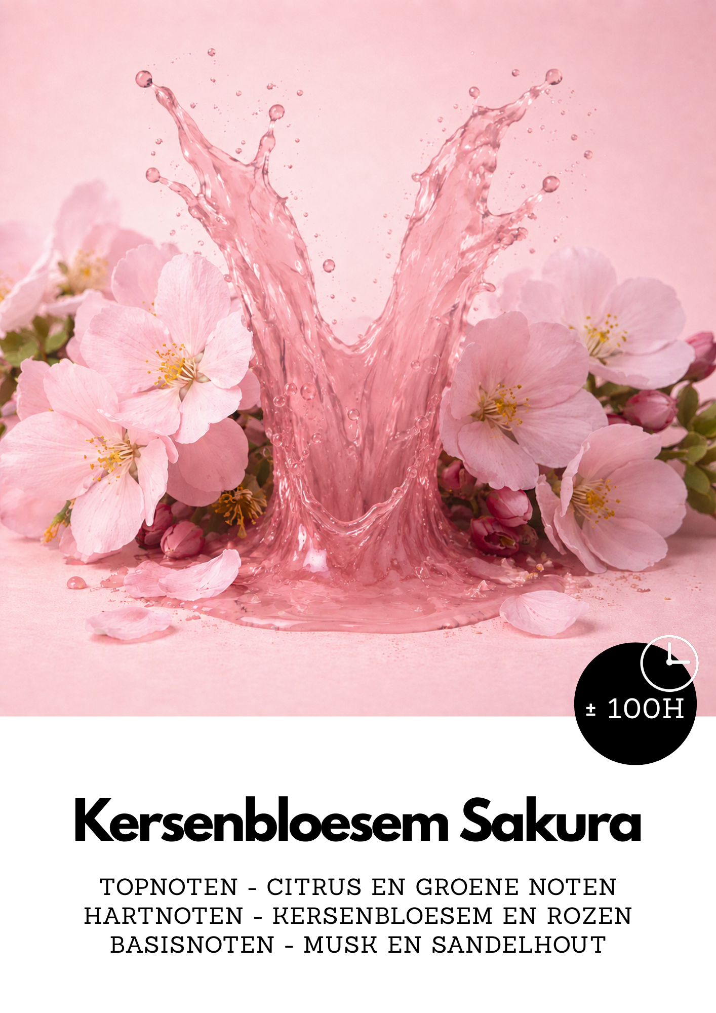 Kersenbloesem Sakura