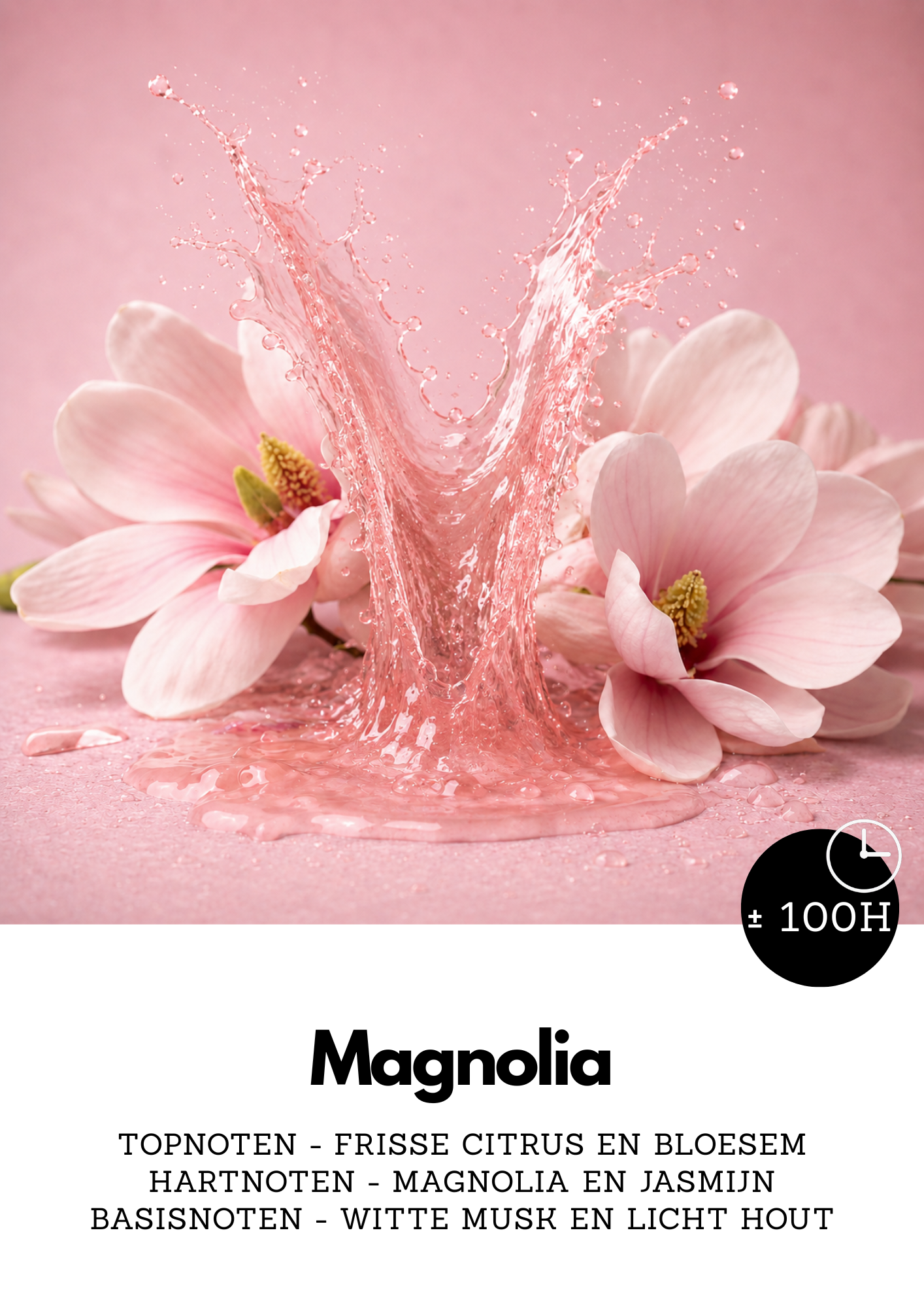 Magnolia