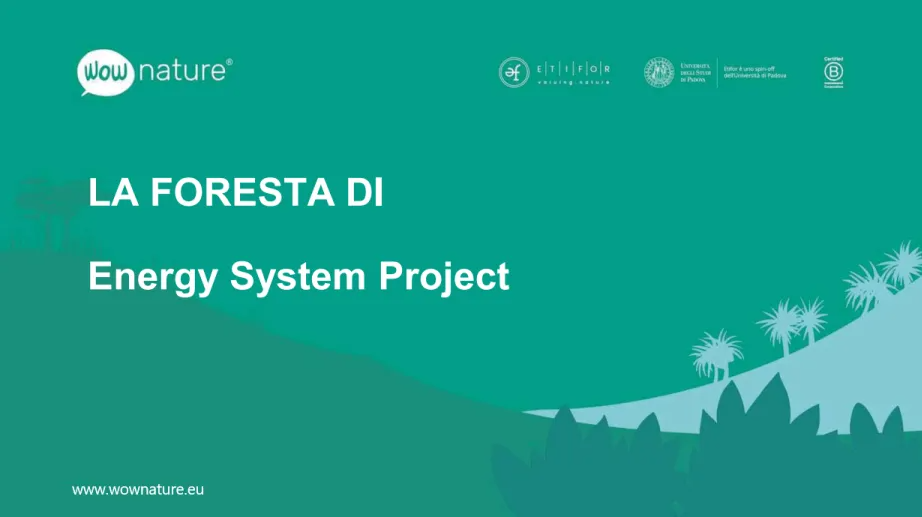 Diapositiva del titolo color verde acqua con le scritte “LA FORESTA DI” e “Energy System Project”, silhouette di foreste e loghi degli sponsor.