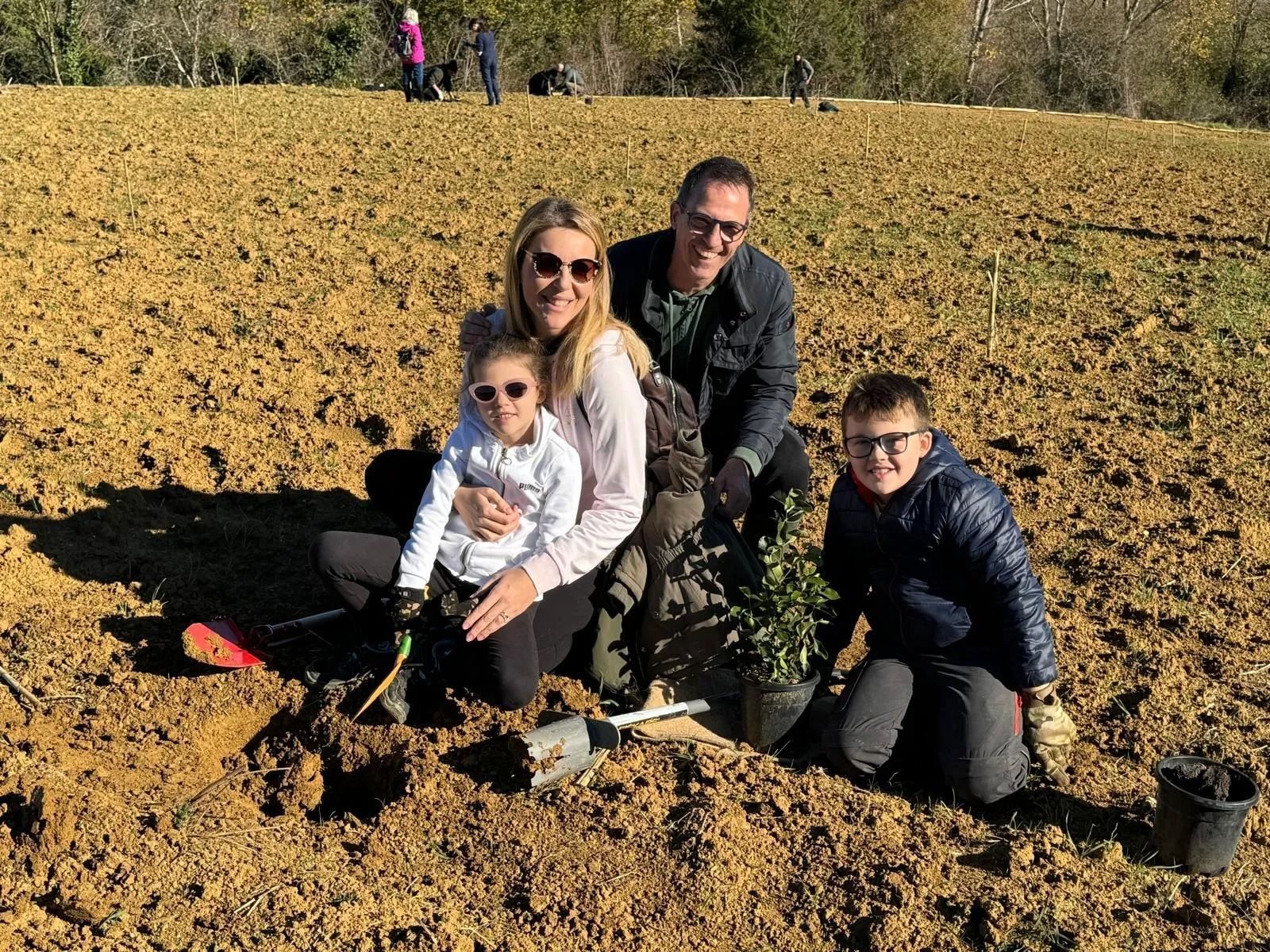 Quattro persone sono inginocchiate in un campo a piantare giovani alberi in una giornata di sole.