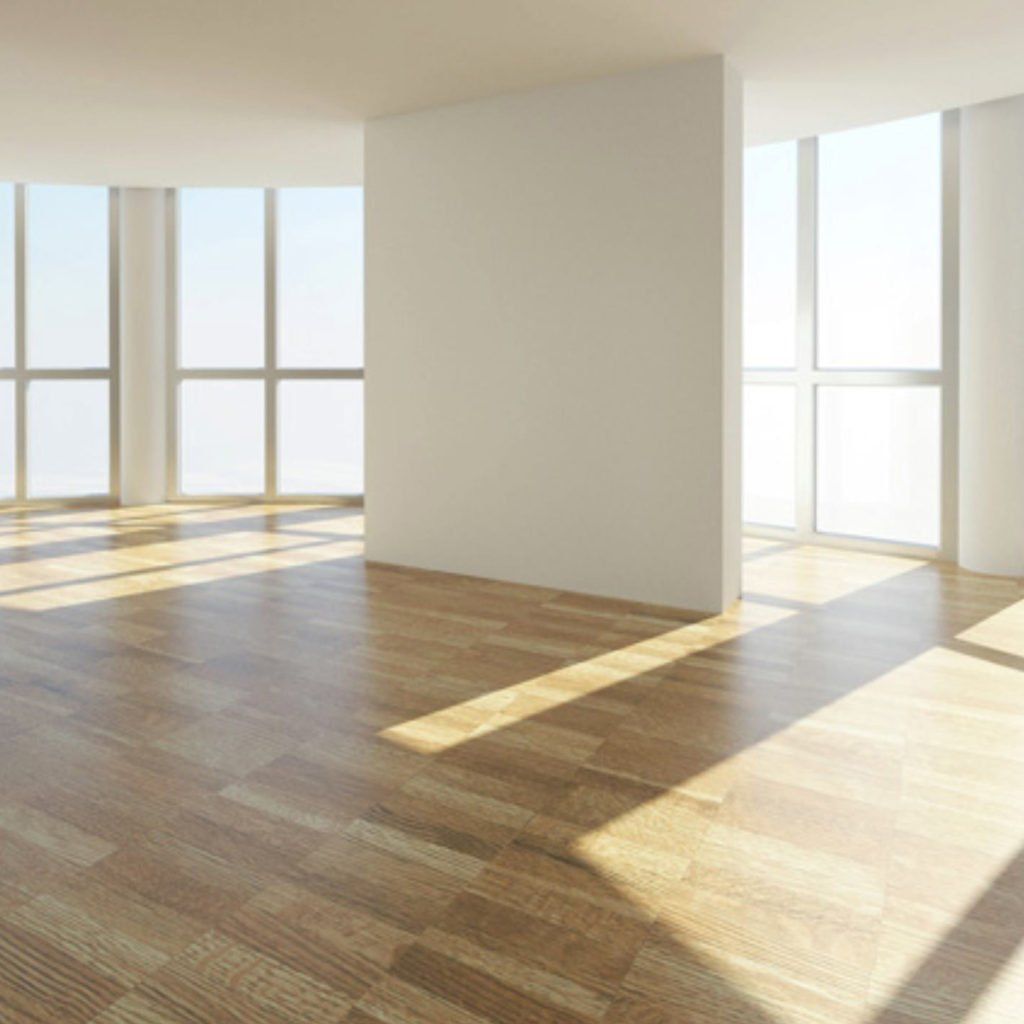 after mold remediation services