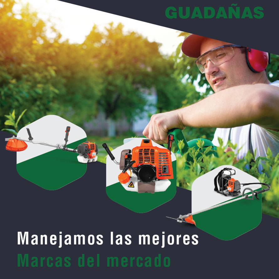 MOTOSIERRA