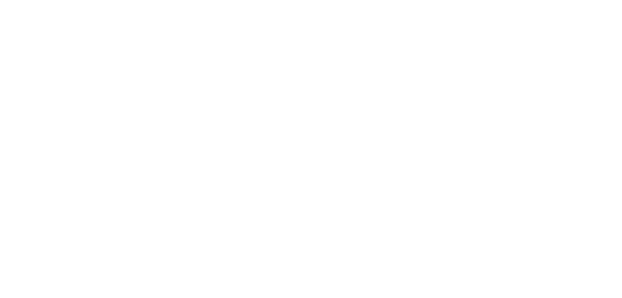 Blank white rectangle on a white background with a thin black outline at the bottom.