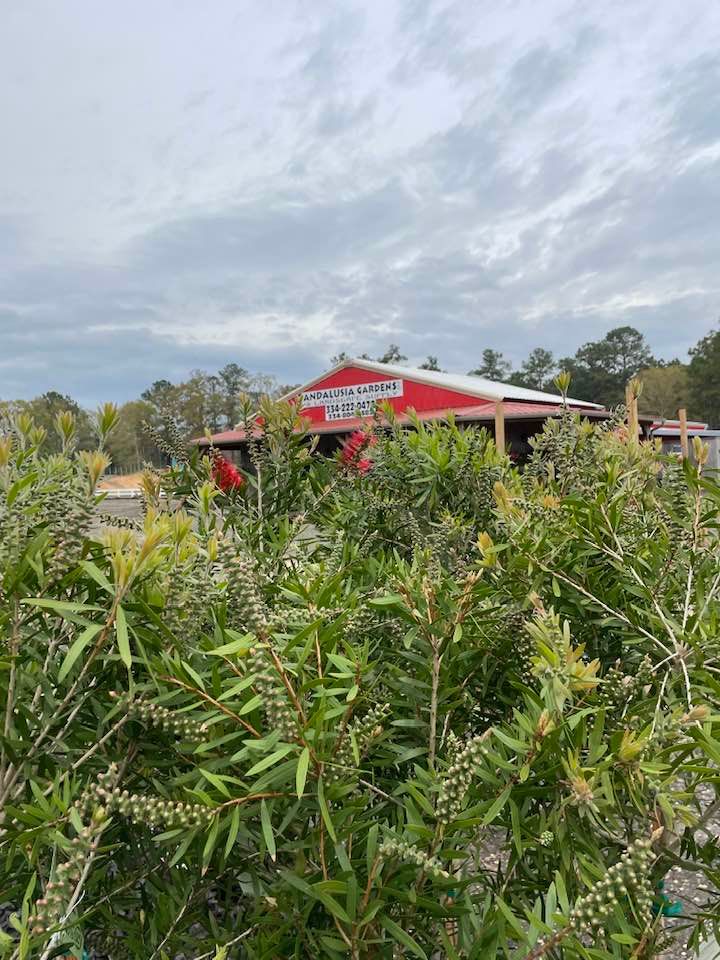 Red-roofed building, partially obscured by green shrubs, under a cloudy sky.