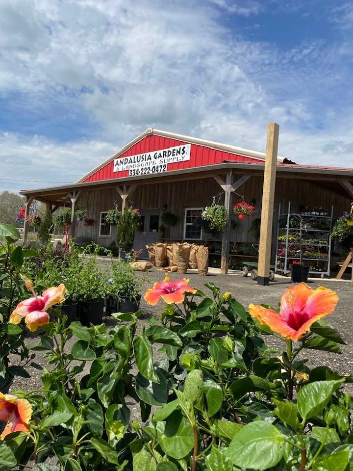 A red-roofed nursery with hibiscus flowers in the foreground.