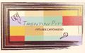 Trentini Pitture Logo Trentini Pitture