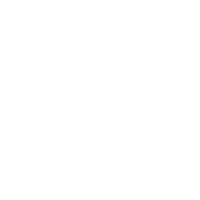 Audit Representation