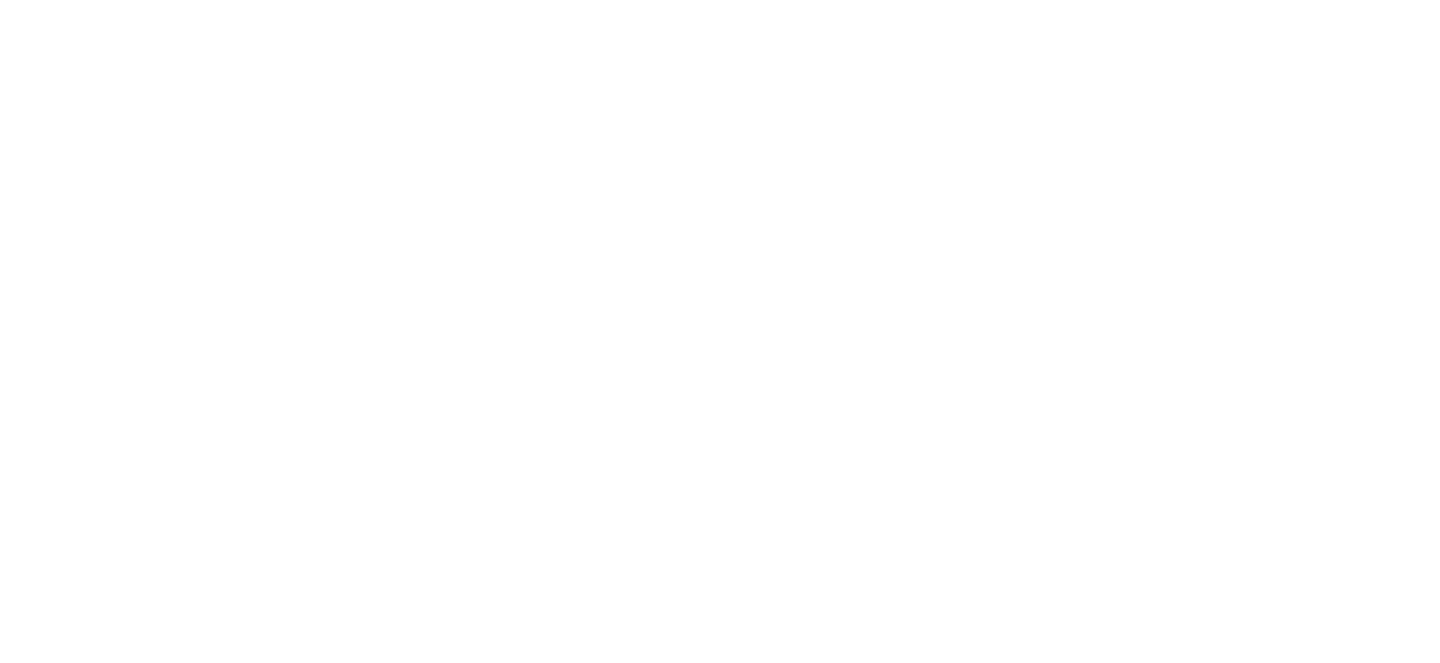 Blank white rectangle with a thin black border at the bottom edge