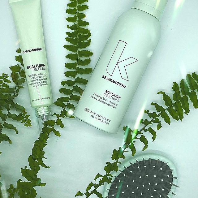 Mint skincare products and a hairbrush arranged with green fern leaves on a pale background